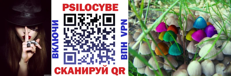 Псилоцибиновые грибы Cubensis  blacksprut ссылка  Губкинский 